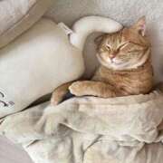 ヒメ日記 2025/02/26 09:53 投稿 御堂 みゆ プルプルハウス