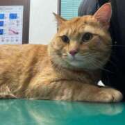 ヒメ日記 2025/03/04 20:38 投稿 御堂 みゆ プルプルハウス