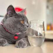 ヒメ日記 2025/03/24 00:55 投稿 御堂 みゆ プルプルハウス