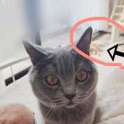 ヒメ日記 2025/03/31 14:30 投稿 御堂 みゆ プルプルハウス