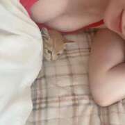 ヒメ日記 2025/04/03 01:40 投稿 御堂 みゆ プルプルハウス