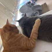 ヒメ日記 2025/04/03 01:52 投稿 御堂 みゆ プルプルハウス