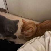 ヒメ日記 2025/04/08 23:01 投稿 御堂 みゆ プルプルハウス