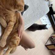 ヒメ日記 2025/04/23 17:30 投稿 御堂 みゆ プルプルハウス