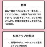 ヒメ日記 2025/05/03 17:35 投稿 御堂 みゆ プルプルハウス