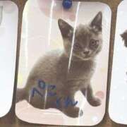 ヒメ日記 2025/05/20 00:21 投稿 御堂 みゆ プルプルハウス