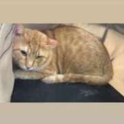 ヒメ日記 2025/05/21 10:57 投稿 御堂 みゆ プルプルハウス