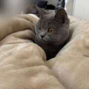 ヒメ日記 2025/05/26 13:26 投稿 御堂 みゆ プルプルハウス