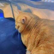 ヒメ日記 2025/05/30 11:57 投稿 御堂 みゆ プルプルハウス