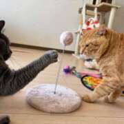 ヒメ日記 2025/06/05 17:14 投稿 御堂 みゆ プルプルハウス