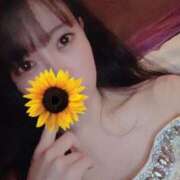 ヒメ日記 2025/06/09 00:44 投稿 御堂 みゆ プルプルハウス