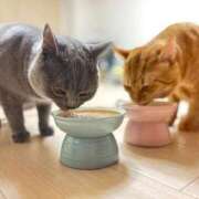 ヒメ日記 2025/06/20 16:46 投稿 御堂 みゆ プルプルハウス