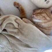 ヒメ日記 2025/06/26 15:04 投稿 御堂 みゆ プルプルハウス