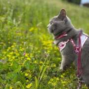 ヒメ日記 2025/06/30 20:15 投稿 御堂 みゆ プルプルハウス