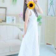 ヒメ日記 2025/07/17 10:14 投稿 御堂 みゆ プルプルハウス