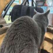 ヒメ日記 2025/08/02 11:38 投稿 御堂 みゆ プルプルハウス