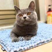 ヒメ日記 2025/08/08 05:29 投稿 御堂 みゆ プルプルハウス