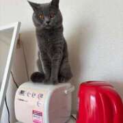 ヒメ日記 2025/08/13 23:33 投稿 御堂 みゆ プルプルハウス