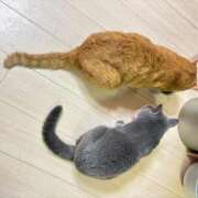 ヒメ日記 2025/08/14 00:02 投稿 御堂 みゆ プルプルハウス