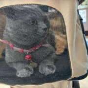 ヒメ日記 2025/08/22 23:08 投稿 御堂 みゆ プルプルハウス