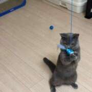 ヒメ日記 2025/08/25 00:51 投稿 御堂 みゆ プルプルハウス