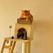 ヒメ日記 2025/09/17 19:52 投稿 御堂 みゆ プルプルハウス