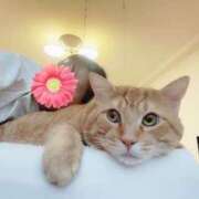 ヒメ日記 2025/10/19 19:25 投稿 御堂 みゆ プルプルハウス