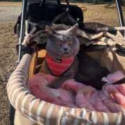 ヒメ日記 2025/11/08 15:01 投稿 御堂 みゆ プルプルハウス