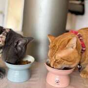 ヒメ日記 2025/11/19 00:09 投稿 御堂 みゆ プルプルハウス