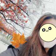 ヒメ日記 2025/11/26 07:35 投稿 御堂 みゆ プルプルハウス