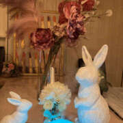 ヒメ日記 2025/09/10 00:45 投稿 すみれ 奥鉄オクテツ大阪