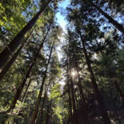 ヒメ日記 2025/10/08 08:25 投稿 すみれ 奥鉄オクテツ大阪