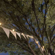 すみれ こんばんは 奥鉄オクテツ大阪