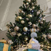 すみれ ご連絡 奥鉄オクテツ大阪