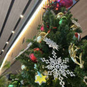 ヒメ日記 2025/12/22 08:45 投稿 すみれ 奥鉄オクテツ大阪