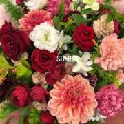 ヒメ日記 2026/03/08 18:05 投稿 すみれ 奥鉄オクテツ大阪