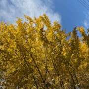 ヒメ日記 2024/12/22 09:40 投稿 じゅん 人妻日記