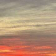 ヒメ日記 2025/01/19 10:55 投稿 じゅん 人妻日記