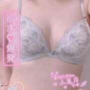 ヒメ日記 2026/04/07 22:43 投稿 えみ 脱がされたい人妻 宇都宮店