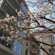 ヒメ日記 2025/03/30 09:01 投稿 愛（アイ） アバンチュール(五反田)