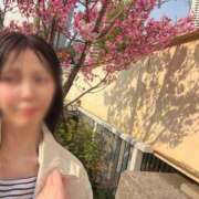 ヒメ日記 2025/04/05 12:16 投稿 愛（アイ） アバンチュール(五反田)