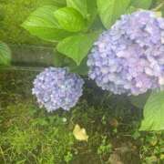 ヒメ日記 2025/04/13 08:01 投稿 愛（アイ） アバンチュール(五反田)