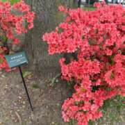 ヒメ日記 2025/05/18 09:01 投稿 愛（アイ） アバンチュール(五反田)