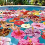 ヒメ日記 2025/08/13 13:31 投稿 愛（アイ） アバンチュール(五反田)