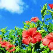 ヒメ日記 2025/08/28 13:01 投稿 愛（アイ） アバンチュール(五反田)