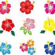 ヒメ日記 2025/08/29 20:16 投稿 愛（アイ） アバンチュール(五反田)