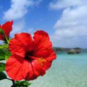 ヒメ日記 2025/08/31 12:16 投稿 愛（アイ） アバンチュール(五反田)