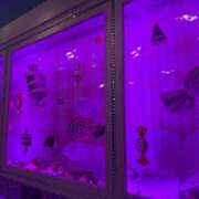 ヒメ日記 2025/09/21 16:16 投稿 愛（アイ） アバンチュール(五反田)