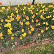 ヒメ日記 2025/10/25 20:16 投稿 愛（アイ） アバンチュール(五反田)