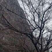 ヒメ日記 2026/02/14 16:31 投稿 愛（アイ） アバンチュール(五反田)